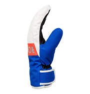 Picture of DC Franchise - Ski/Snowboard Gloves for Men SURF THE WEB