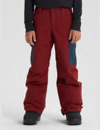 Picture of Burton Exile Cargo Boys' Snowboard Pants Sparrow / Mood Indigo