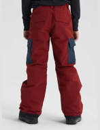 Picture of Burton Exile Cargo Boys' Snowboard Pants Sparrow / Mood Indigo