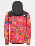 the north face printed fanorak jacket