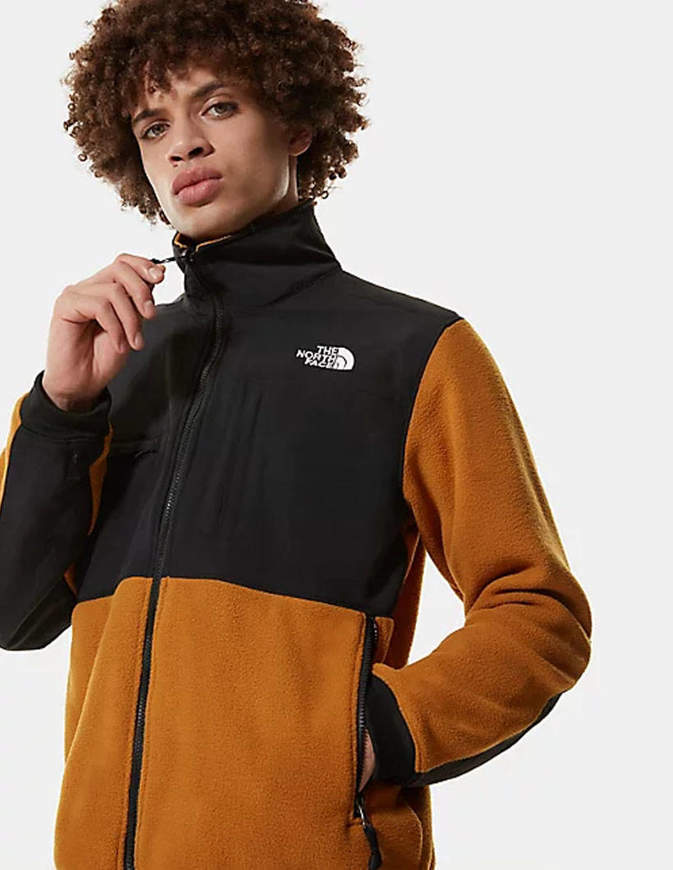 the north face men's denali 2 jacket
