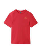 The North Face T-Shirt Uomo North Faces Rossa