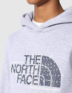 The North Face Felpa con Cappuccio Ragazzi Drew Peak Grigia