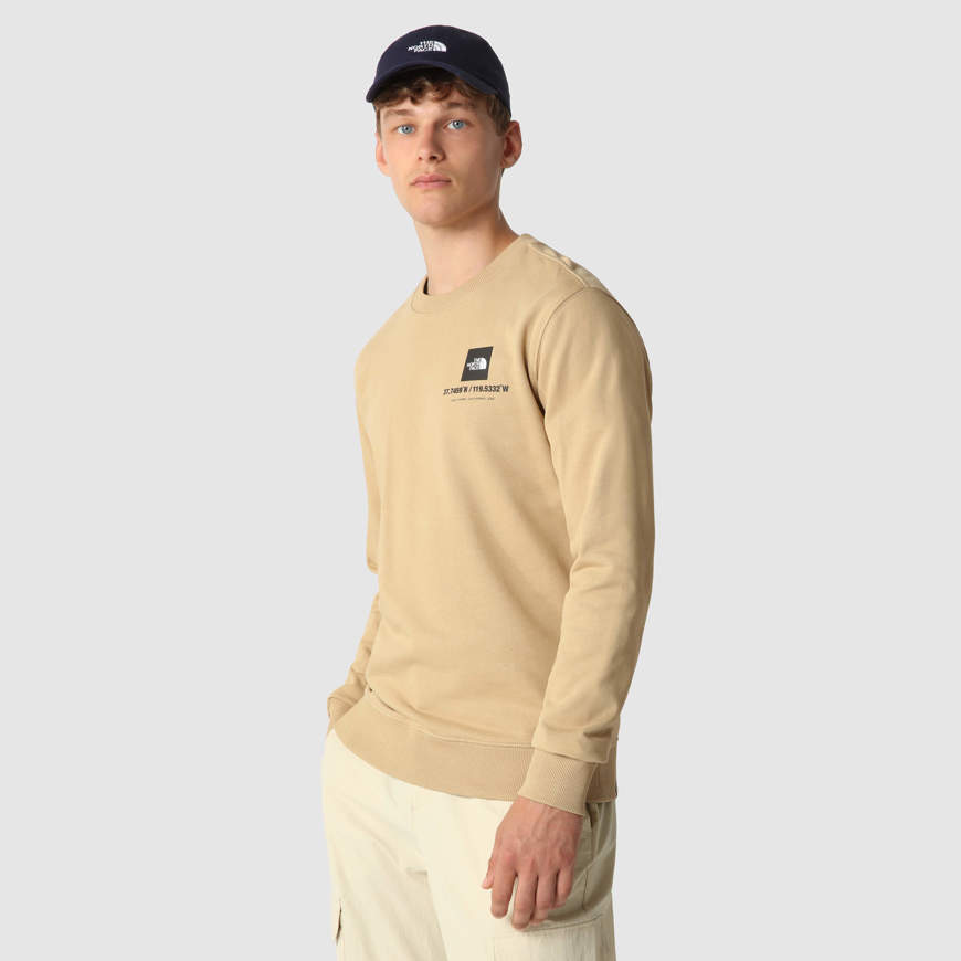Felpa senza cappuccio Coordinates marroncino The North Face Impact shop action sport store