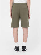 Pantaloncino Mapleton verde militare Dickies