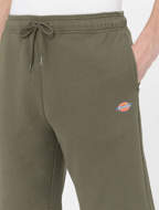 Pantaloncino Mapleton verde militare Dickies