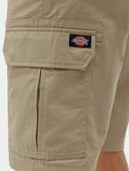 Pantaloncino Millerville marroncino Dickies