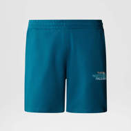 Pantaloncino D2 Grafica blu The North Face