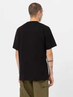 Maglia mezza manica Mount Vista con taschino da uomo nera  Dickies