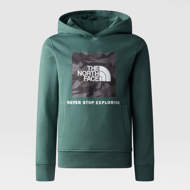 Felpa con cappuccio e box da ragazzi  verde pino The North Face