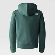 Felpa con cappuccio e box da ragazzi  verde pino The North Face