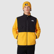 Giacca Denali da uomo giallo oro The North Face