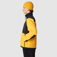 Giacca Denali da uomo giallo oro The North Face