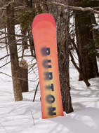 Tavola da snowboard Custom da uomo Burton