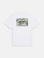 Picture of Max Meadows Tee White for Men Dickies 