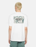 Picture of Max Meadows Tee White for Men Dickies 