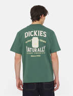 Picture of Elliston T-Shirt Dark Forest Dickies 