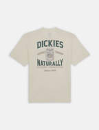 Picture of T-Shirt Elliston Nuvola da Uomo Dickies