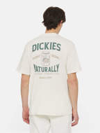 Picture of Elliston T-Shirt Cloud Dickies