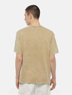 Picture of T-Shirt Newington Arenaria da Uomo Dickies