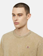 Picture of Newington T-shirt Sandstone Double Dye/Acd Dickies 