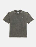 Picture of T-Shirt Newington Verde Chiaro da Uomo Dickies