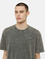 Picture of Newington T-shirt Double Dye/Acid Wash Cloud Dickies 