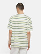 Picture of T-Shirt Glade Spring a Strisce color Nuvola da Uomo Dickies
