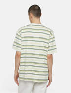 Picture of Glade Spring T-Shirt Horizontal yd Stripe Cloud Dickies 