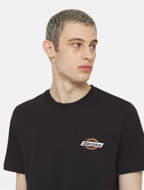 Picture of T-Shirt Ruston Nera e Marrone da Uomo Dickies