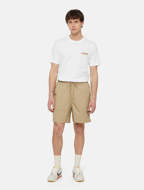 Picture of Ruston T-Shirt White/Pale Green Dickies 