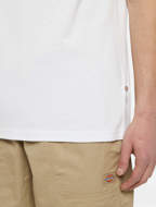 Picture of Ruston T-Shirt White/Pale Green Dickies 