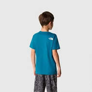 Picture of Teen's S/S Graphic Tee Blue Moss/Lemon Yellow The North Face 