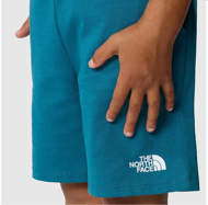 Picture of Completo Summer Verde/Blu per Bambini The North Face
