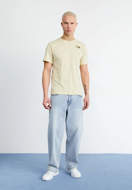 Picture of T-Shirt Graphic Marrone Chiaro da Uomo The North Face
