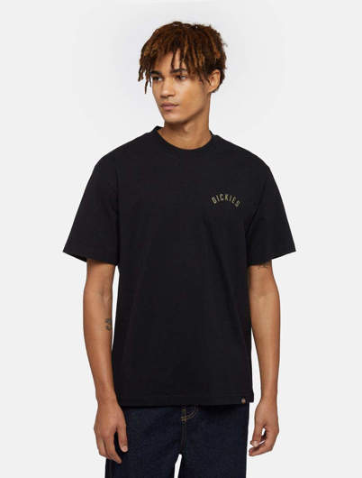 Picture of T-Shirt Panther Tee ss Black for Men Dickies 