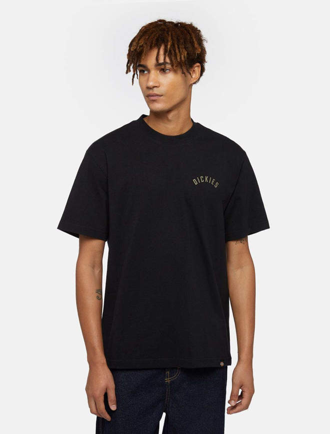 Picture of T-Shirt Panther Tee ss Black for Men Dickies 