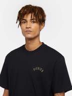 Picture of T-Shirt Panther Tee ss Black for Men Dickies 