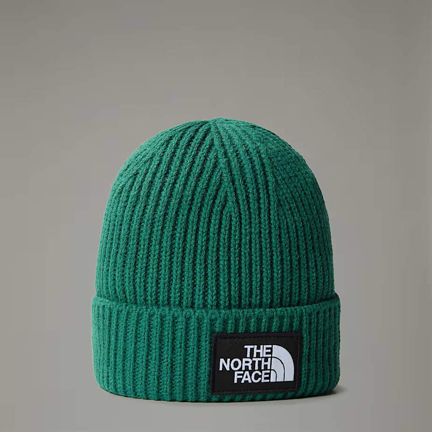 Picture of Logo Box Cuf Beanie Evergreen The North Face 