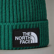 Picture of Logo Box Cuf Beanie Evergreen The North Face 
