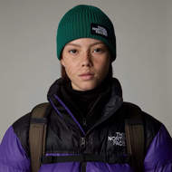 Picture of Logo Box Cuf Beanie Evergreen The North Face 