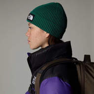 Picture of Logo Box Cuf Beanie Evergreen The North Face 