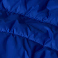 Picture of Piumino 2000 Blu da Uomo the North Face