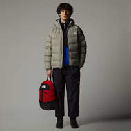 Picture of Piumino con Cappuccio Hydrenalite Down Grigio da Uomo The North Face