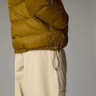 Picture of Piumino con Cappuccio Hydrenalite Down Verde da Uomo The North Face