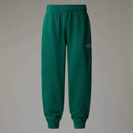 Picture of Teen's Essential Oversize Evergreen The North Face 