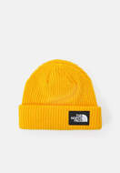 Picture of Salty Lined Beanie Summit Gold The North Face