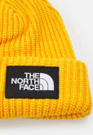 Picture of Salty Lined Beanie Summit Gold The North Face