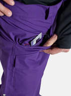 Picture of Men's Covert 2.0 2L Insulated Imperial Purple Pants Burton 